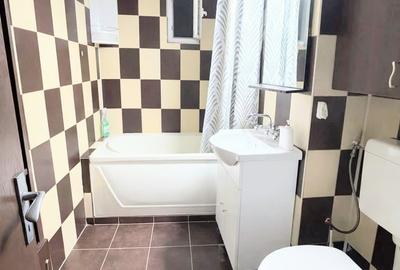 Apartament cu 3 camere decomandat, mobilat în ICIL - 10