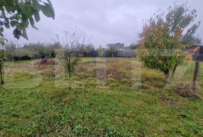 Teren Intravilan Harman cu utilitati , ingradit si casauta de lemn pe teren - 8