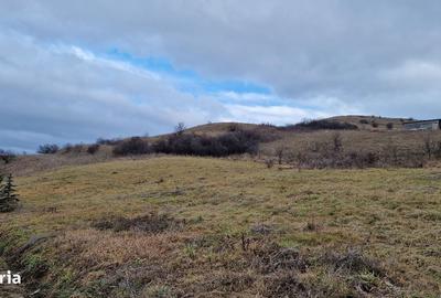 Spațiu comercial, în Sânnicoară - 9