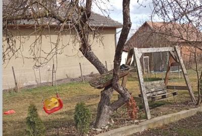 Casă cu 3 camere cu Teren 927 Mp în Așchileu - 4