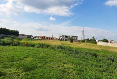 Teren -Cartier Europa, Mosnita noua - 3