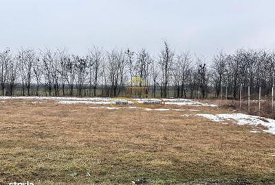 Teren de 900 mp, în Săucești - 3