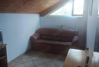 Casă cu Teren 4000 Mp în Central - 5