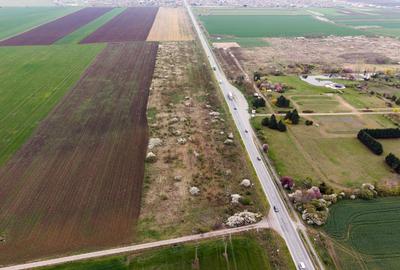 Teren agricol extravilan de 41800 mp, în Vladimirescu - 2