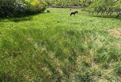 Casă cu Teren 2468 Mp în Șumugiu - 3