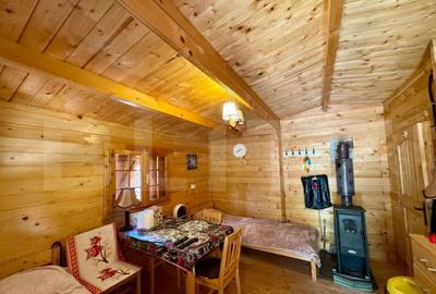 Cabane de vanzare, cu 3 camere, 50 mp, zona Brad - 3