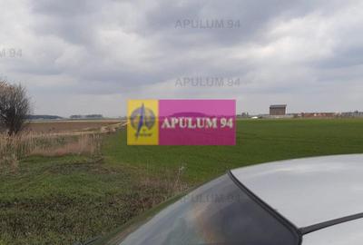 Teren Construcții intravilan de 5110 mp, în 1 Decembrie - 36