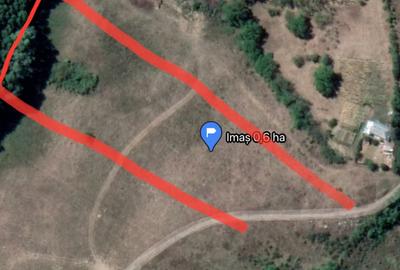 Teren de 30000 mp, în Slobozia (Schitu Duca) - 4