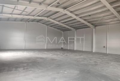 Spațiu industrial, de 600 mp, în Stupini - 1