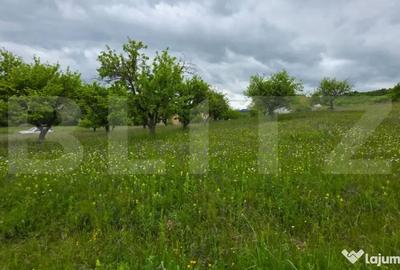 Teren de 3400 mp, în Central