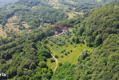 Casă cu 4 camere în Vad - 9