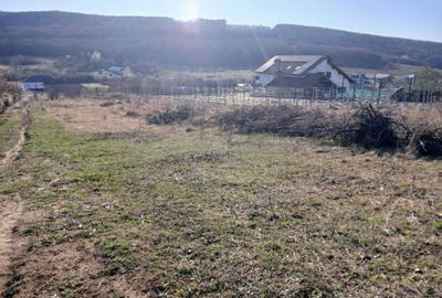 Spațiu comercial, în Betfia - 1