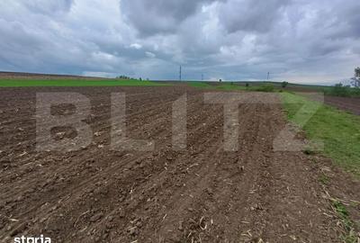 Teren de 5000 mp, în Bosanci