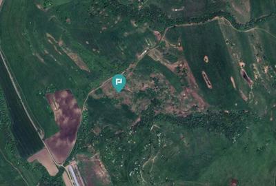 Teren de 195 Hectare Arabil in Cincu, Bra?ov - 2