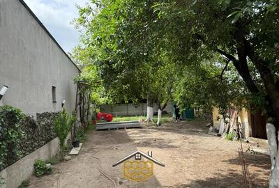 Casa P+1 + spatiu comercial de inchiriat, Luxury in Cartierul Brestei - 17