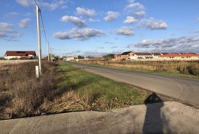 Teren Covaci-770-1540 mp la asfalt - 1