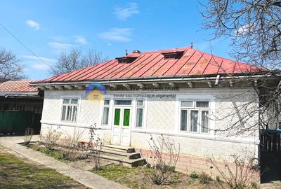 Casă individuală cu 3 camere cu Teren 7702 Mp în Bodești - 10