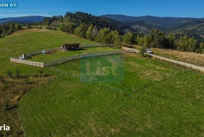 Spațiu comercial, în Muntele Băișorii - 1