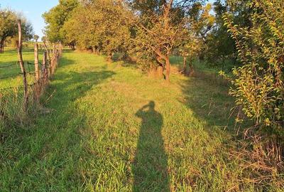 Teren de 29463 mp, în Vătava - 8