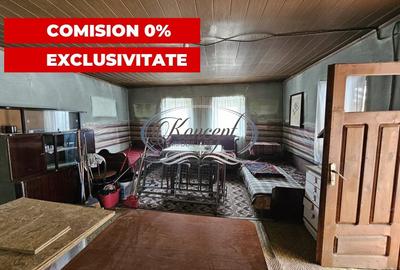 Comision 0% - Casa cu teren generos in Elciu - 15