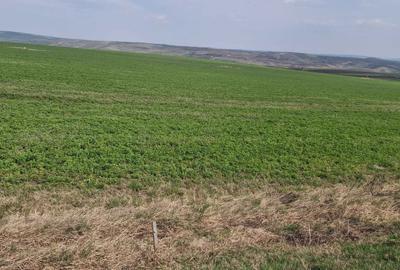 Spațiu comercial, în Copăceni - 7