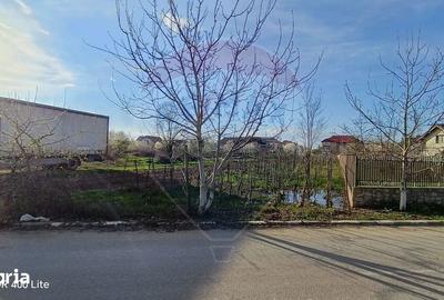 Teren de 1500 mp, în Snagov - 3