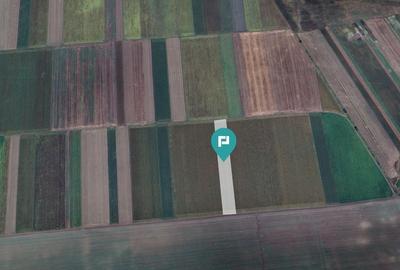 Teren extravilan de 14.500 mp în Caporal Alexa