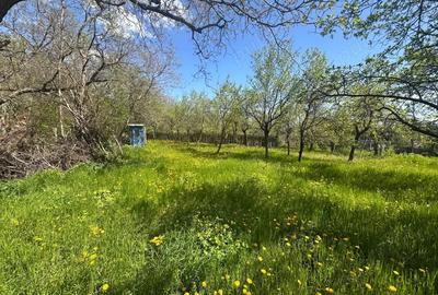 Vand casa batraneasca in Vrancea, com. Valea Sarii Vand casa batraneasca in Vrancea, com. Valea Sarii - 7