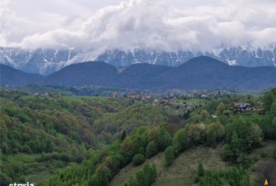 Teren de 6966 mp, în Fundata - 7