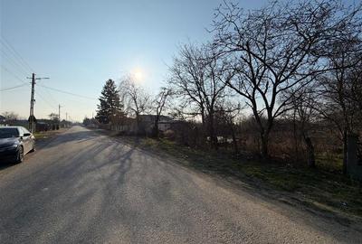 Teren Construcții intravilan de 6057 mp, în Rădulești - 8