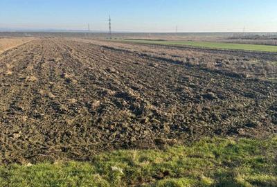 Spațiu comercial, în Central - 1