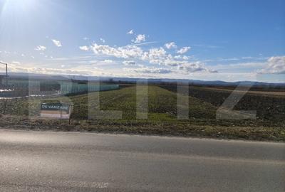Teren intravilan ,4900 mp , 25ml front, Fratautii Vechi, Radauti