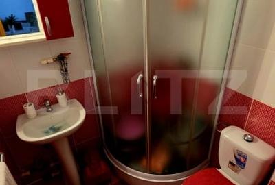 Apartament spatios, de vanzare, cu 4 camere, zona Han - 11