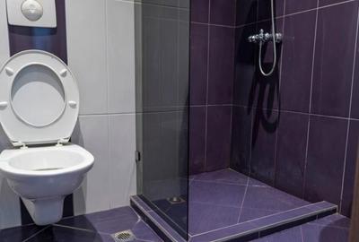 Apartament cu 2 camere semidecomandat în Unirii