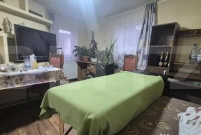 Casă cu 1 camere cu Teren 1306 Mp în Careiului - 10