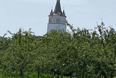 Teren în Hărman - 6