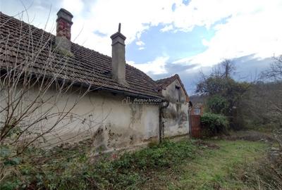 Bogodint, Casa 440mp cu 4 Hectare Teren, Pret Negociabil - 17