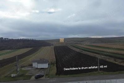 Teren Intravilan 14066 mp 1,4 hectare Suceava Mihoveni - 6