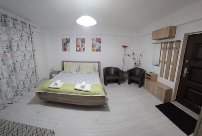 Garsonieră în Cornitoiu - 3