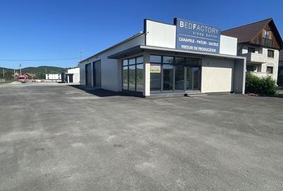 Spațiu comercial, în Cruceni - 2