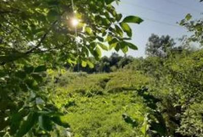 Teren de 3700 mp, în Vâlcănești - 4