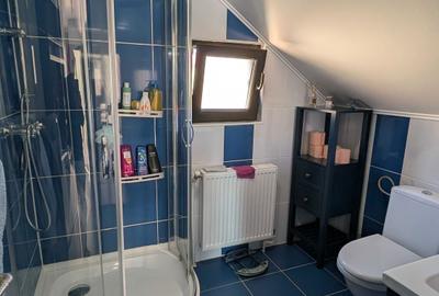 Casă cu 3 camere în Lunca Cetățuii - 3