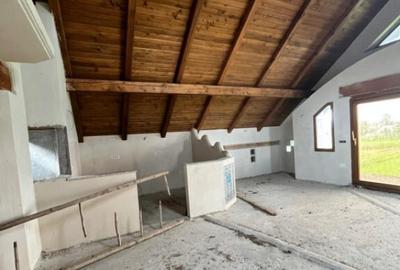 Casa la rosu, teren 1675mp, Fratautii Vechi Casa la rosu, teren 1675mp, Fratautii Vechi - 10