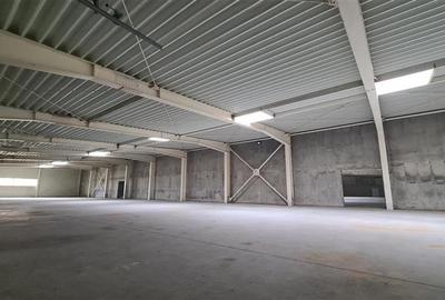 Hala productie / depozitare 4800 mp, Timisoara exterior Nord - 3