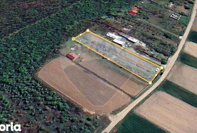 Teren de 2200 mp, în Bulbucata - 1
