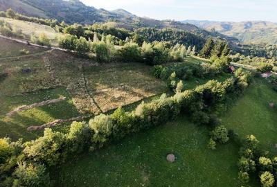 Spațiu comercial, în Poiana Mărului