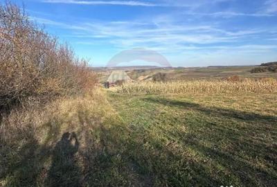 Teren de 5600 mp, în Bogdand - 2