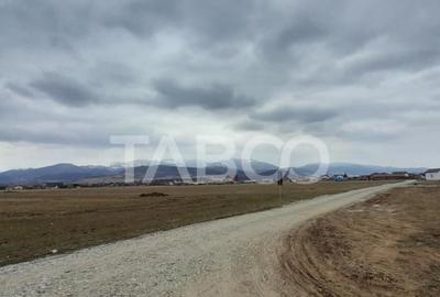 Teren de 11400 mp, în Tălmaciu - 7