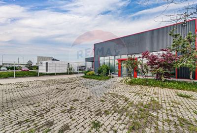 Hala industriala de vanzare in zona Micalaca - 2