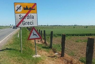 Teren de 16600 mp, în Surdila-Greci - 6